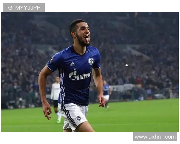 沙尔克04客场大胜霍芬海姆,稳固积分榜上的位置 沙尔克04客场大胜霍芬海姆,稳固积分榜上的位置